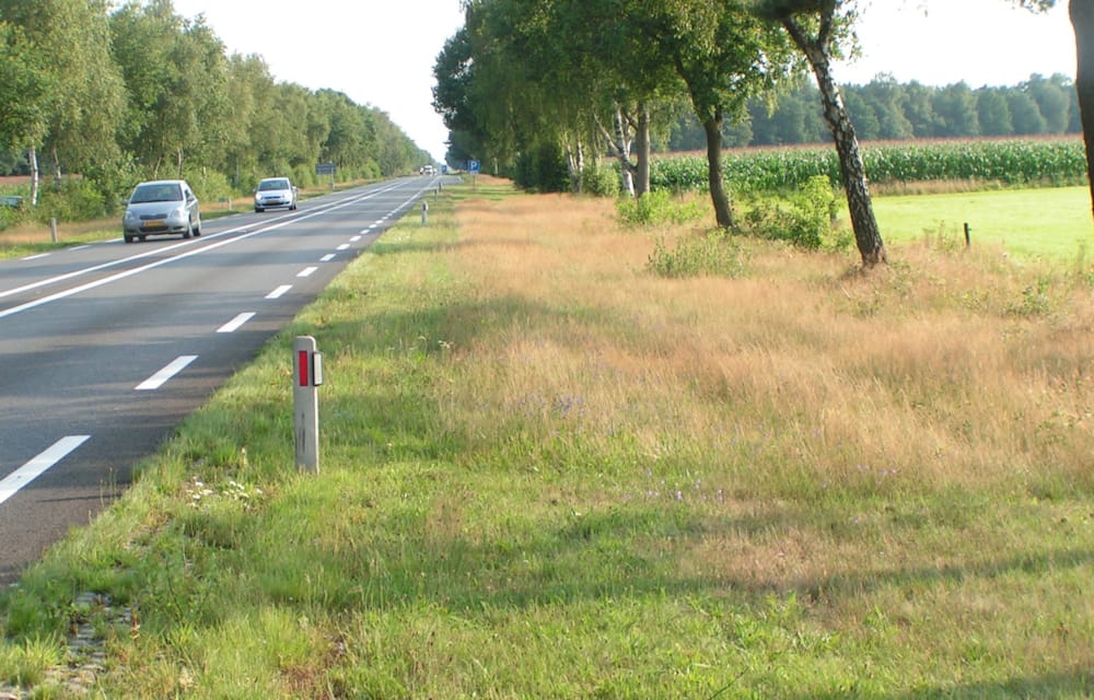 Natuurinclusief werken